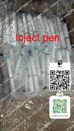 pen 1+.webp