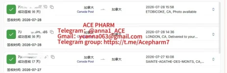 81b1b009-dc8b-45db-9c56-f5eeb26f0efb.webp