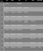 Summer Cycle 2015 (Revised).webp