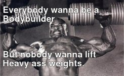 post-16587-Everybody-wanna-be-a-Bodybuild-Ivtn.jpg