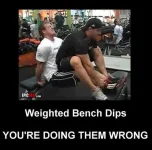 a-Funny-fitness-pictures-weighted-bench-dips.webp