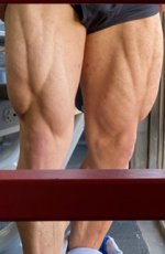 IFBB pro legs.jpg