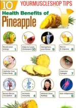 16854589131659194 (1).webp