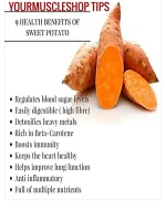 16854589131659194 (3).webp