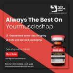 Always The Best On Yourmuscleshop.jpeg