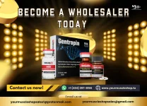 Become a Wholesaler Today.webp