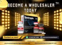 Become a Wholesaler Today.jpg