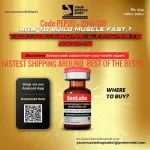 171709017323367683 (2).webp