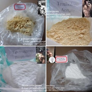 steroids powder for muslce gain