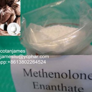 methenolone enanthate 美替诺龙庚酸酯