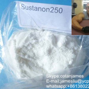 Muscle Building Testosterone Sustanon 250 Steroids Powder