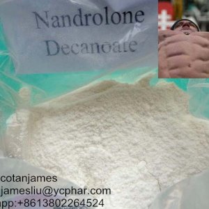 nandrolone decanoate