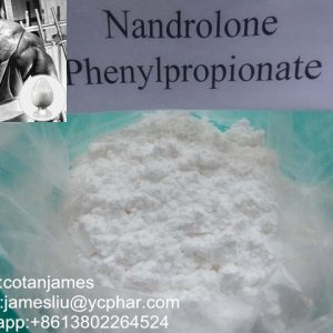 nandrolone phenylpropionate