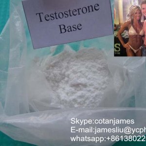 testosterone base