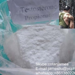 testosterone propionate