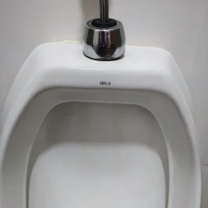 Immagine WhatsApp 2025-04-20 ore 17.52.59_3999c910.webp