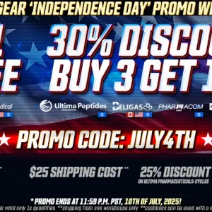 INDEPENDENCE DAY 2025.webp