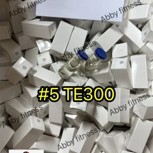 TE300.webp
