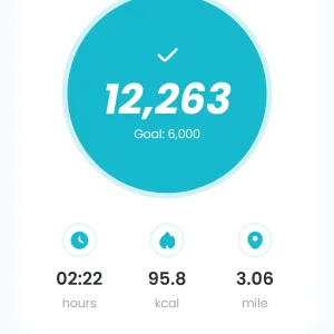 Screenshot_20260322_134703_Pedometer StepGo.webp
