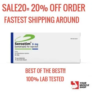 177508635658824092 (1).webp