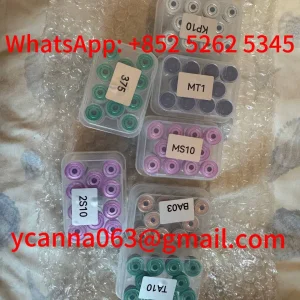 50b44eea-dbce-461c-9a50-f37b717f6b86.webp