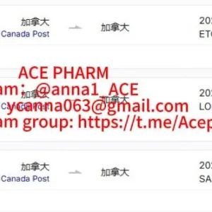 81b1b009-dc8b-45db-9c56-f5eeb26f0efb.webp