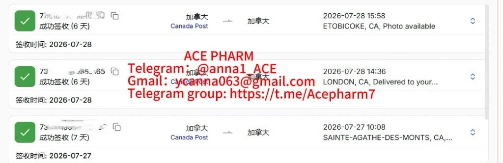81b1b009-dc8b-45db-9c56-f5eeb26f0efb.webp