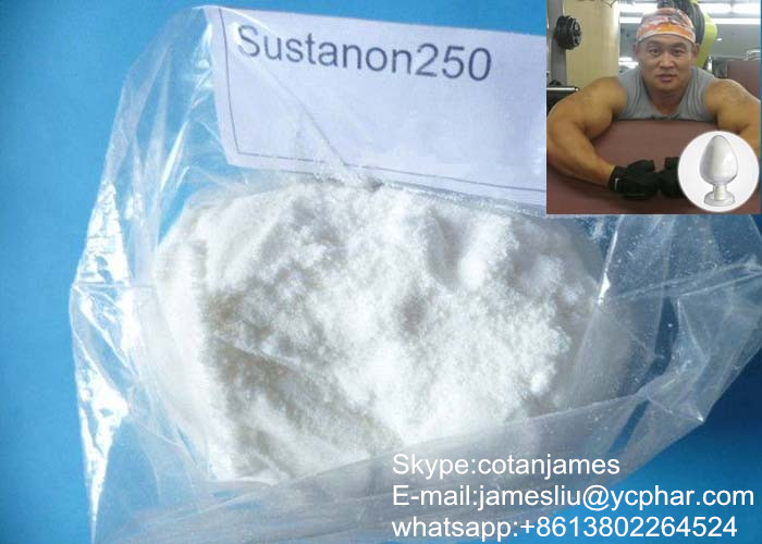 Muscle Building Testosterone Sustanon 250 Steroids Powder