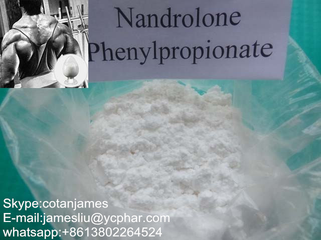 nandrolone phenylpropionate