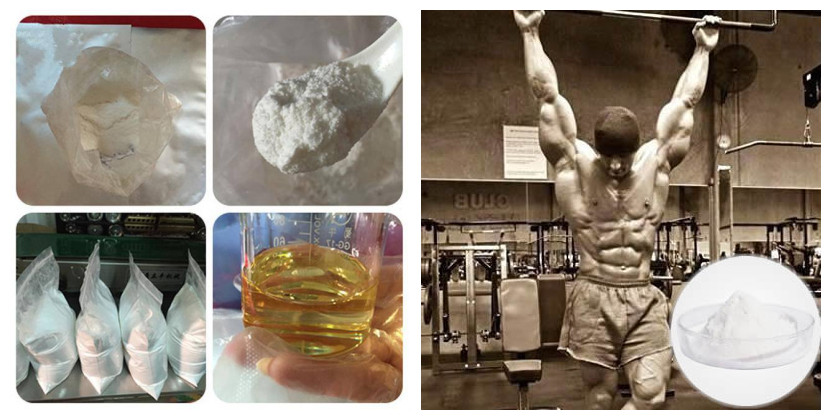 steroids powder liquids