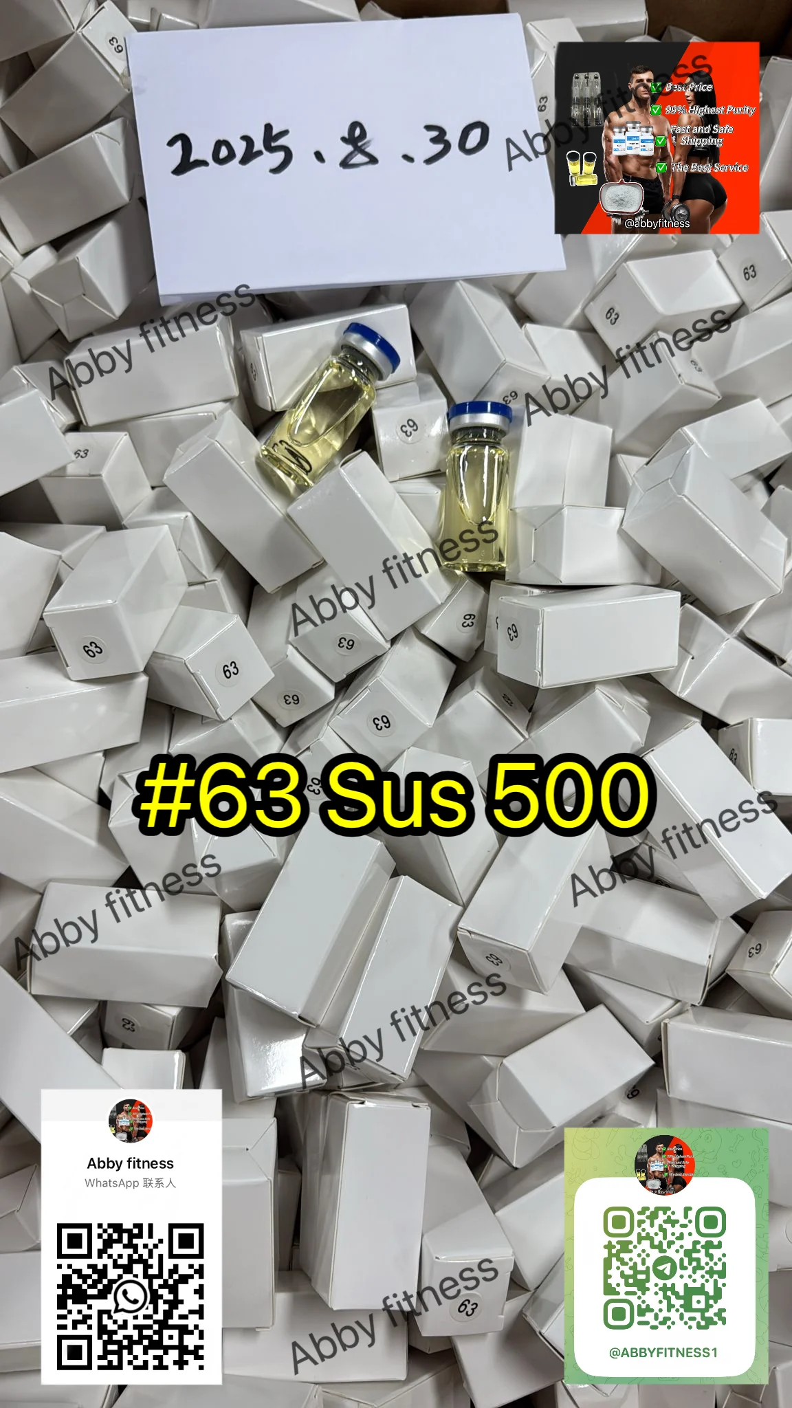 Sus500.webp