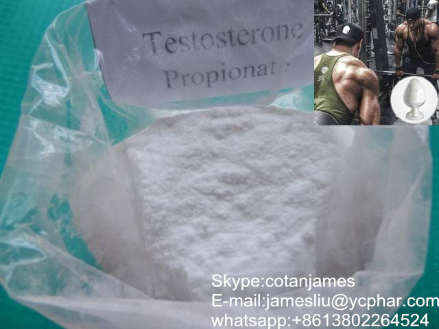 testosterone propionate