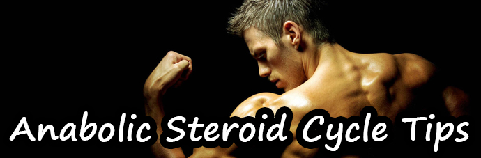 Steroid Cycle Guide To Gain Muscle Safely