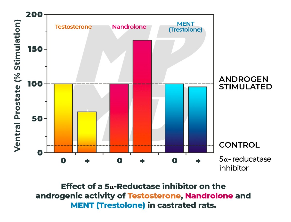 The Only Steroids Finasteride Will Prevent Hair Loss From