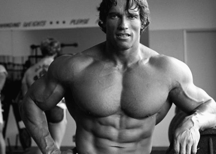 Arnold Schwarzenegger Workout