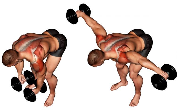 Dumbbell Rear Lateral Raise Exercise Guide and Video