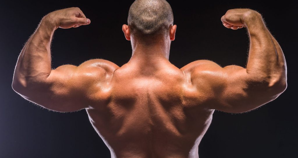 The Ultimate Guide to a Ripped Back