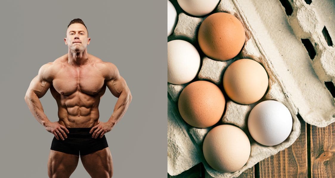 The Power Of Eggs To Beef Up Your Bodybuilding Gains