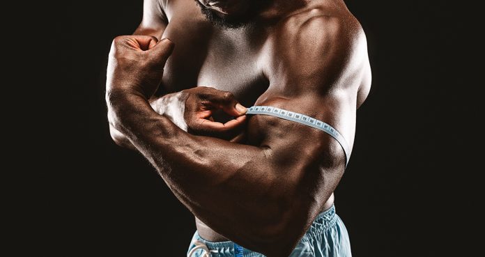 The 1000-Rep Total Annihilation Bicep Workout
