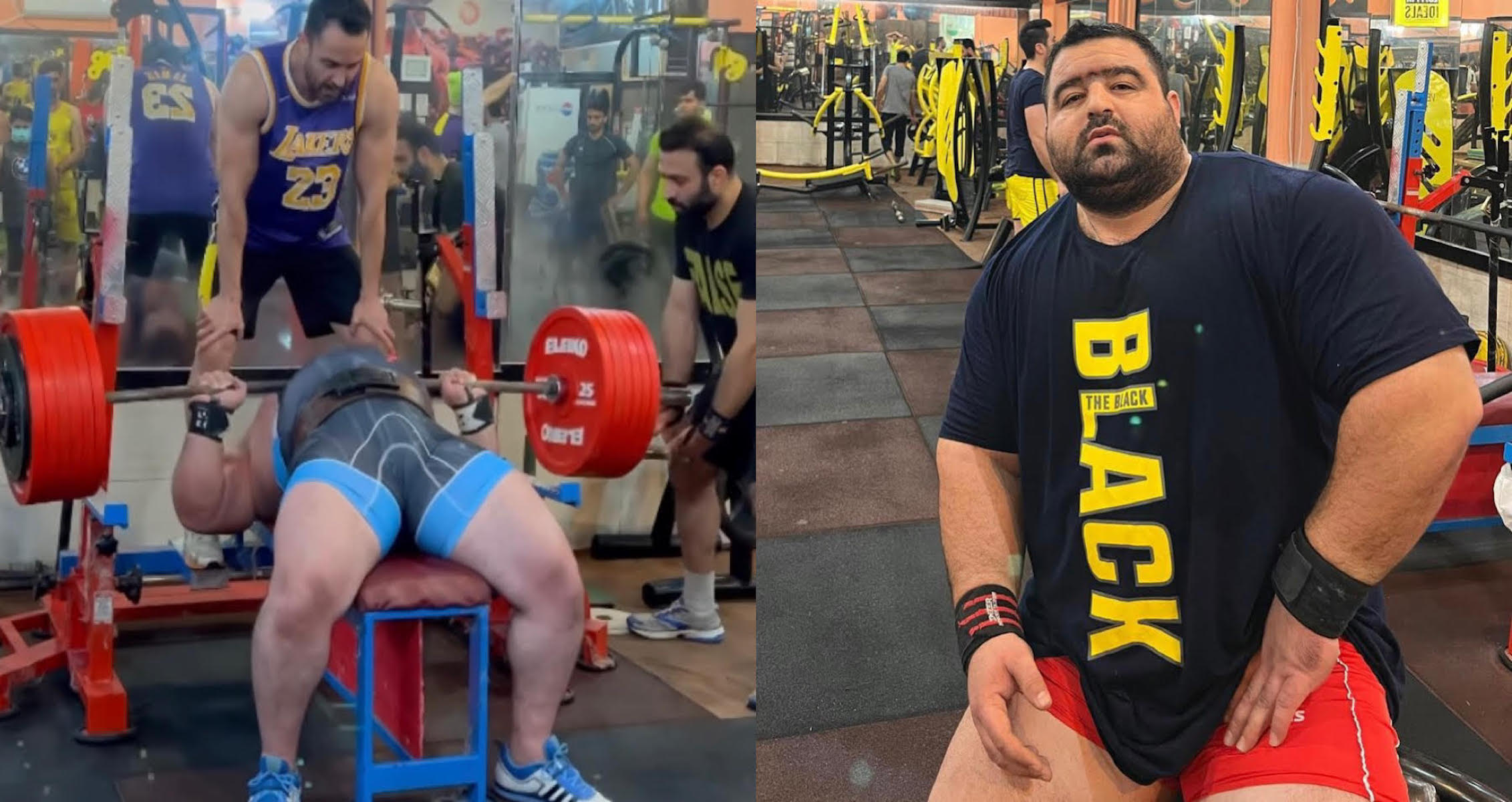 Danial Zamani Announces 800-Pound Bench Press Attempt