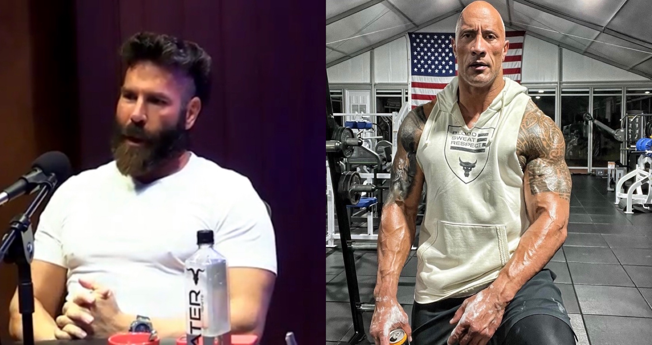 Dan Bilzerian Says It Is “Not Healthy” To Be As Big As The Rock