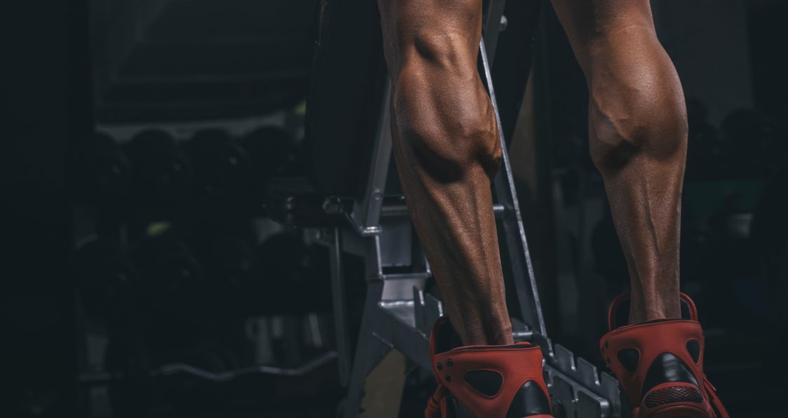 How The Seated Calf Raise Machine Builds Stronger Calves