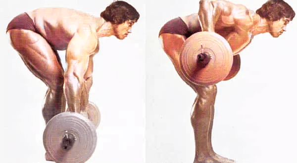 Bent Over Row