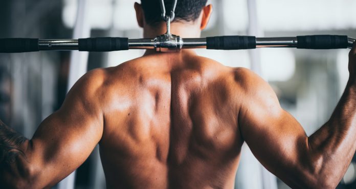 This Is How Many Exercises Per Muscle Group Are Ideal For Gains