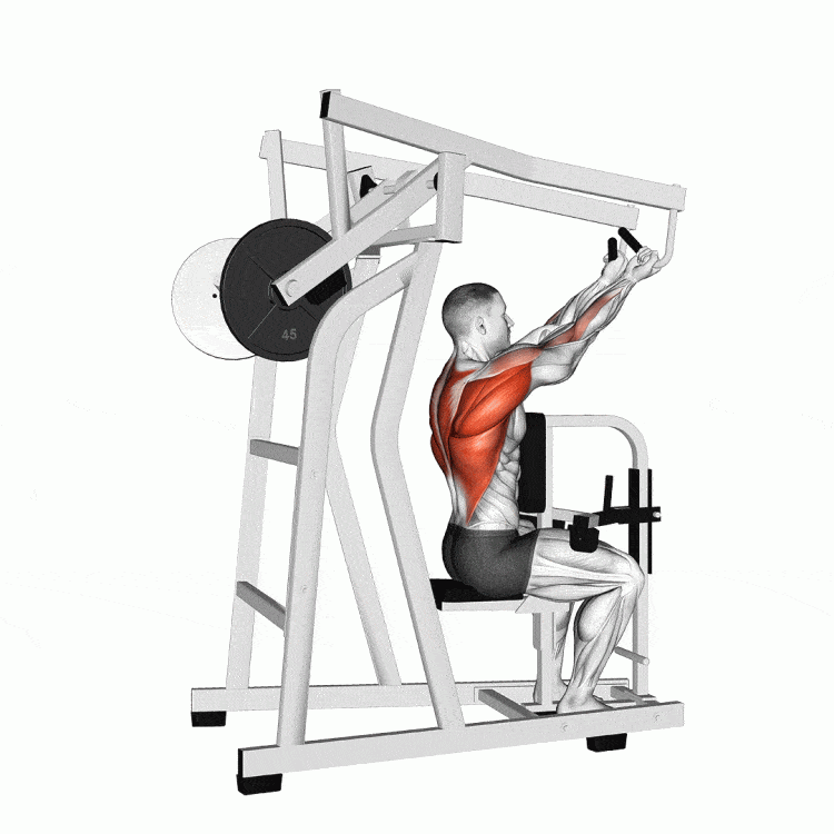 9 Best High-Row Machine Alternatives