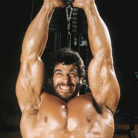 is_lou_ferrigno_deaf_480x480.jpg