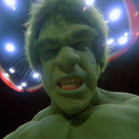 lou_ferrigno_as_the_hulk_480x480.jpg