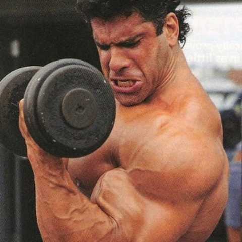 lou_ferrigno_bodybuilding_480x480.jpg