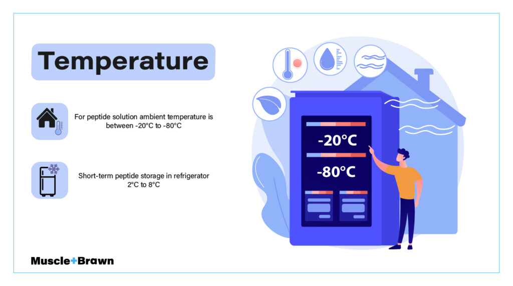 How To Store Peptides - Powder, Liquid, Nasal