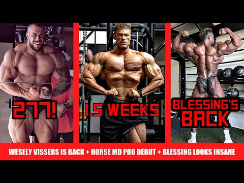 Wesely Vissers 1.5 Weeks Out + Horse MD Prepares for Pro Debut + MORE Bodybuilders Jumping in Italy